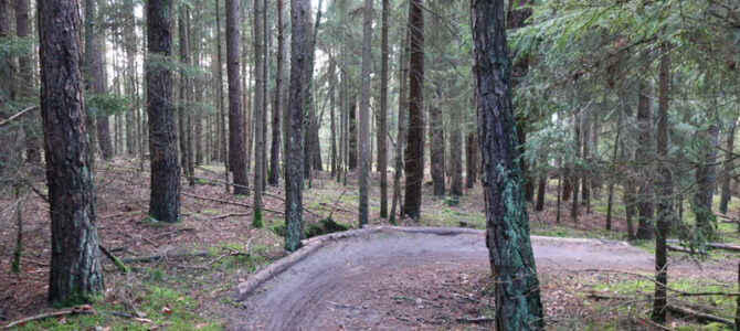 MTB-Trainingsparkour in Ellingen und Trailbau in Pleinfeld – ein aktueller Zwischenstand
