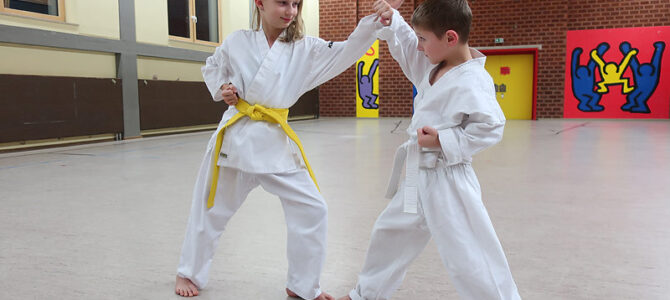 Dynamic-Karate: Am 11. Mai startet ein Anfängerkurs für Kinder